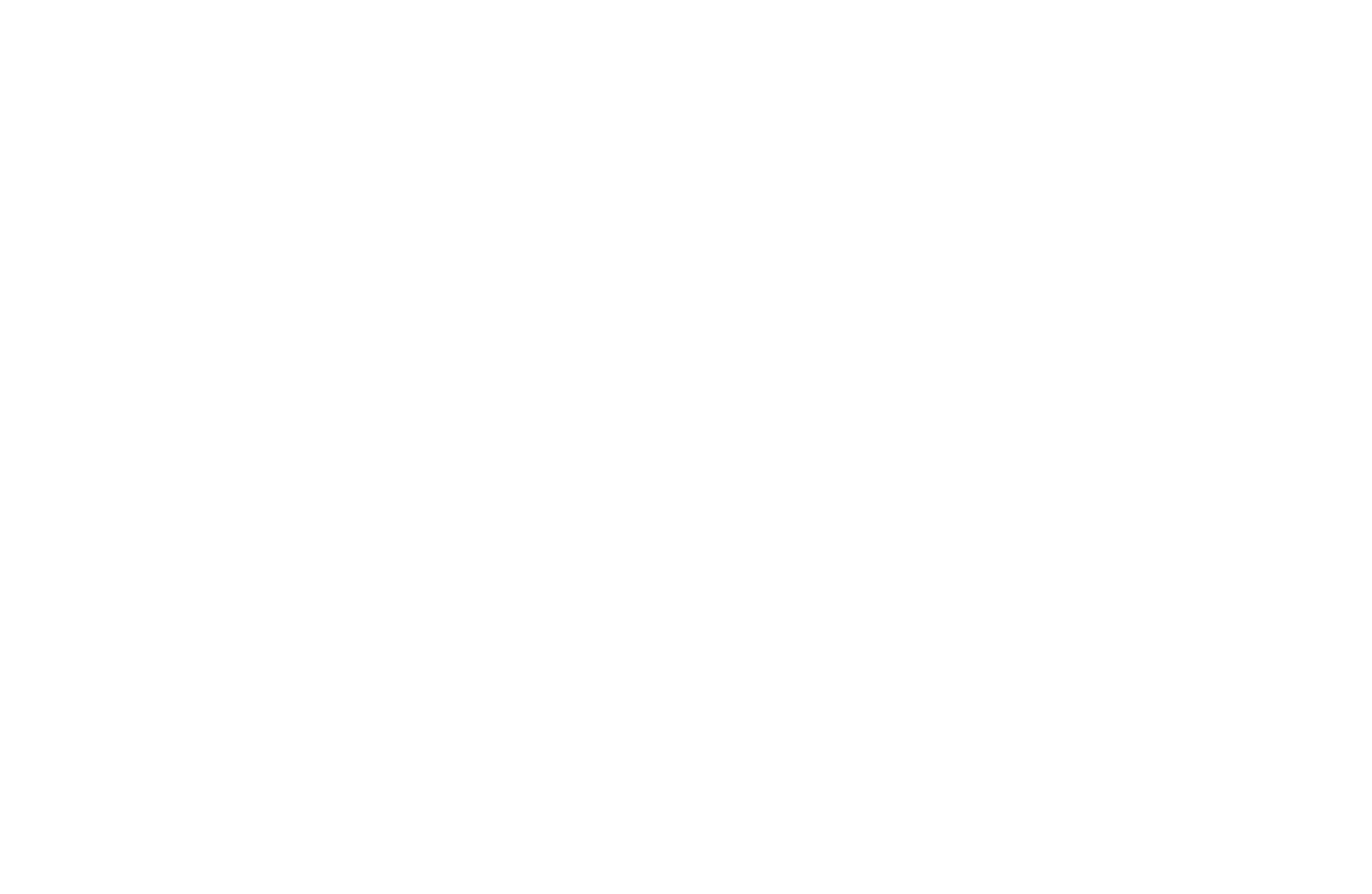 Vitruvi logo